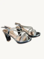 Zapatos de Fiesta Plateados