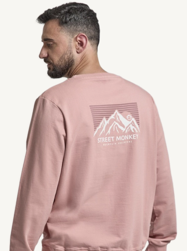 sudadera bonita para hombre y niño monkey rosa